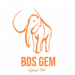 Logo du Bureau des sports de Grenoble Ecole de Management