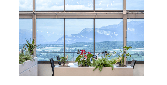 Korus group espace de travail.PNG