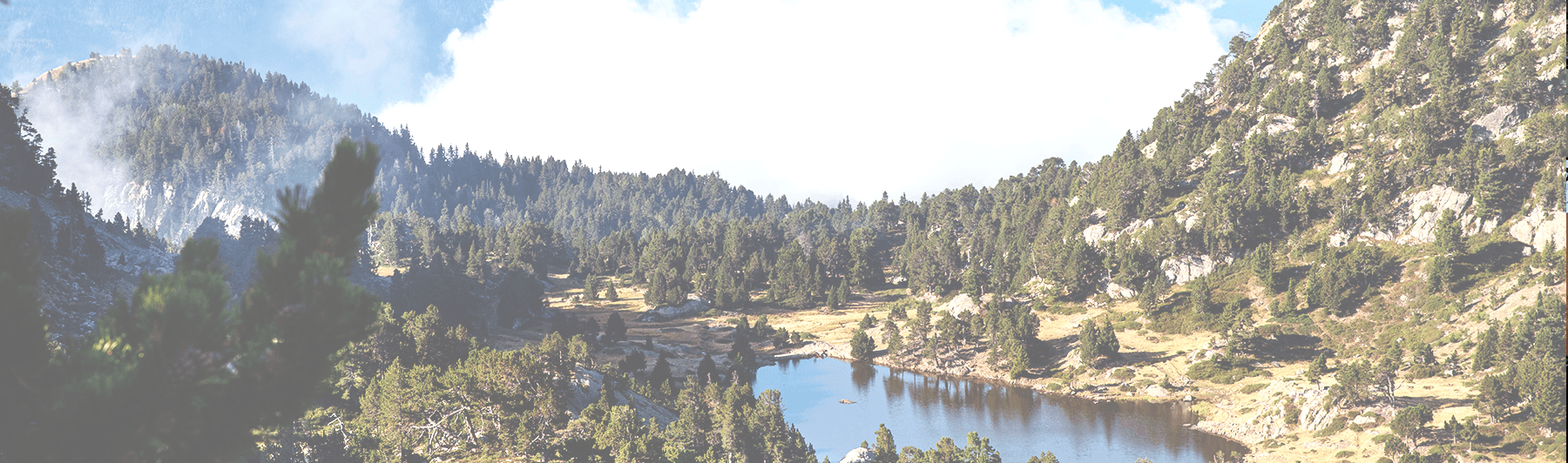 Territoires en Transition