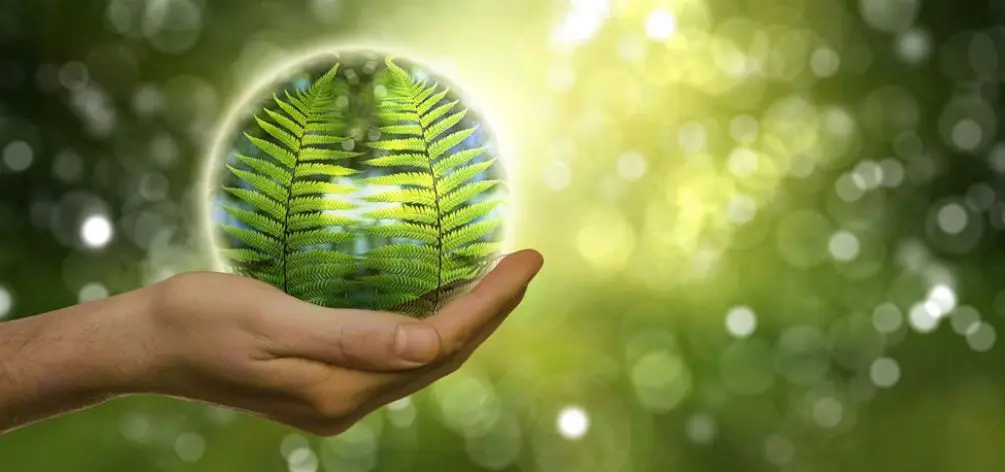 illustration main nature energie